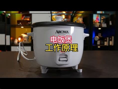 電鍋加熱原理|【電子鍋 原理】揭開電子鍋運作秘密：加熱原理大探秘